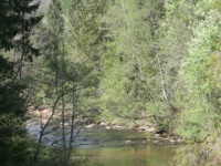 2016-05-13 15h11m20 - IJsvogelriviertje - Gerda van der Meer